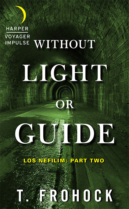 Without Light or Guide book cover
