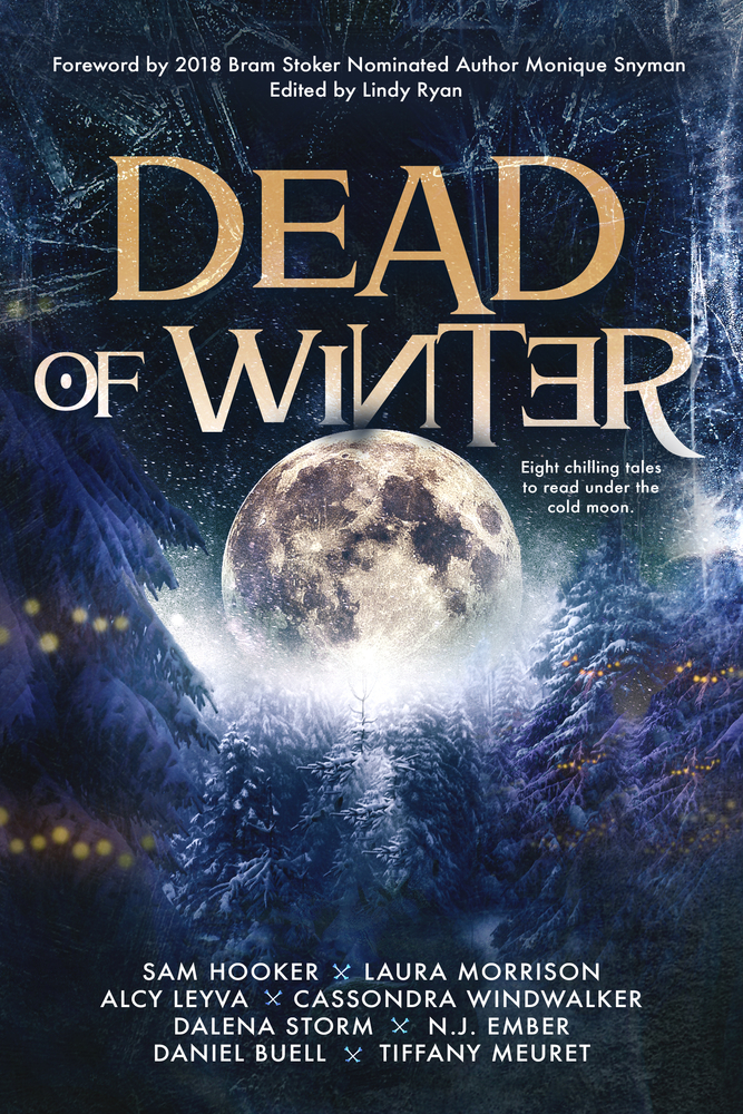 Dead of Winter book cover