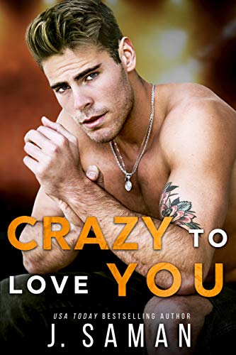 Wild to Love book cover 3