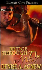 Bridge Through the Mist book cover