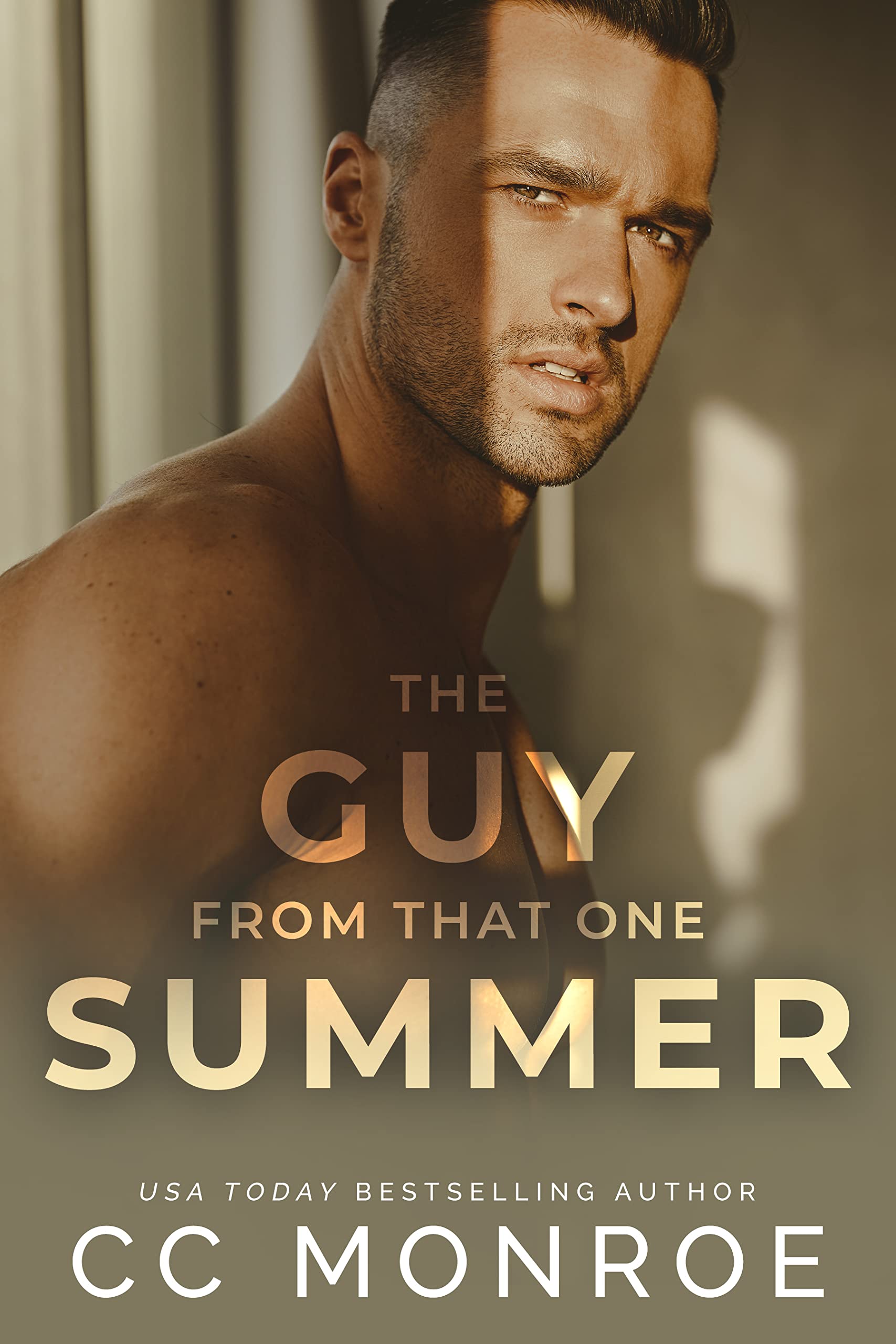 The Guy from That One Summer book cover