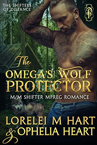 The Shifters of Distance book cover 1