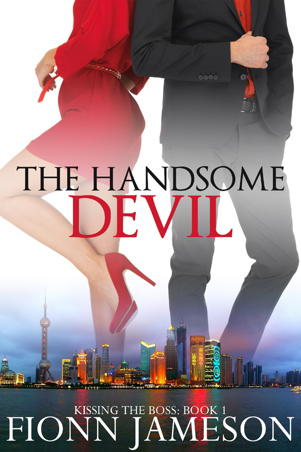 The Handsome Devil book cover