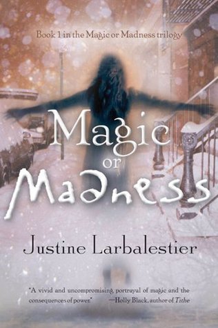 Magic or Madness book cover 1