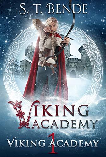 Viking Academy book cover 1