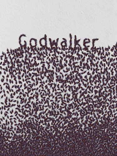 Godwalker book cover