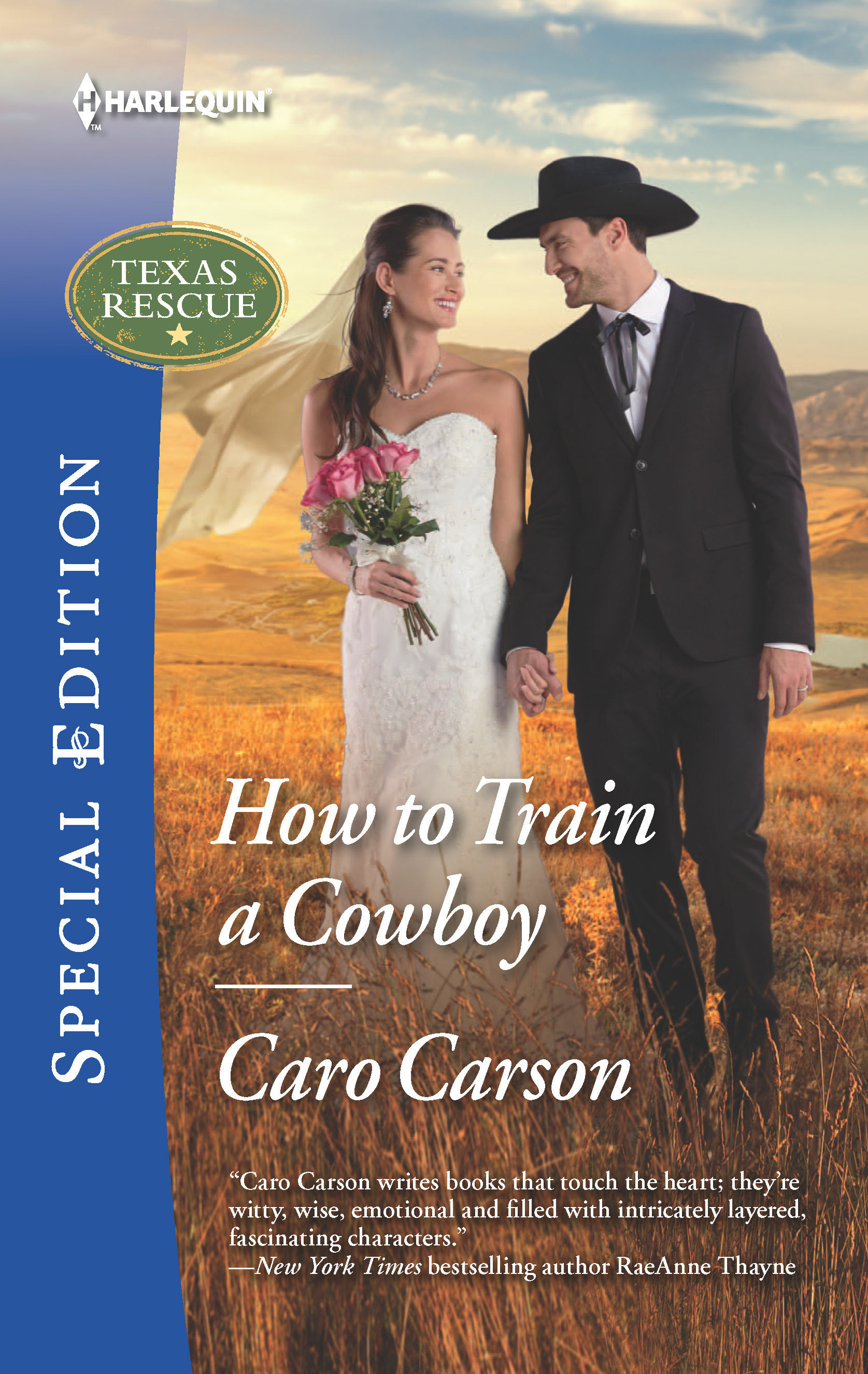 How to Train a Cowboy book cover