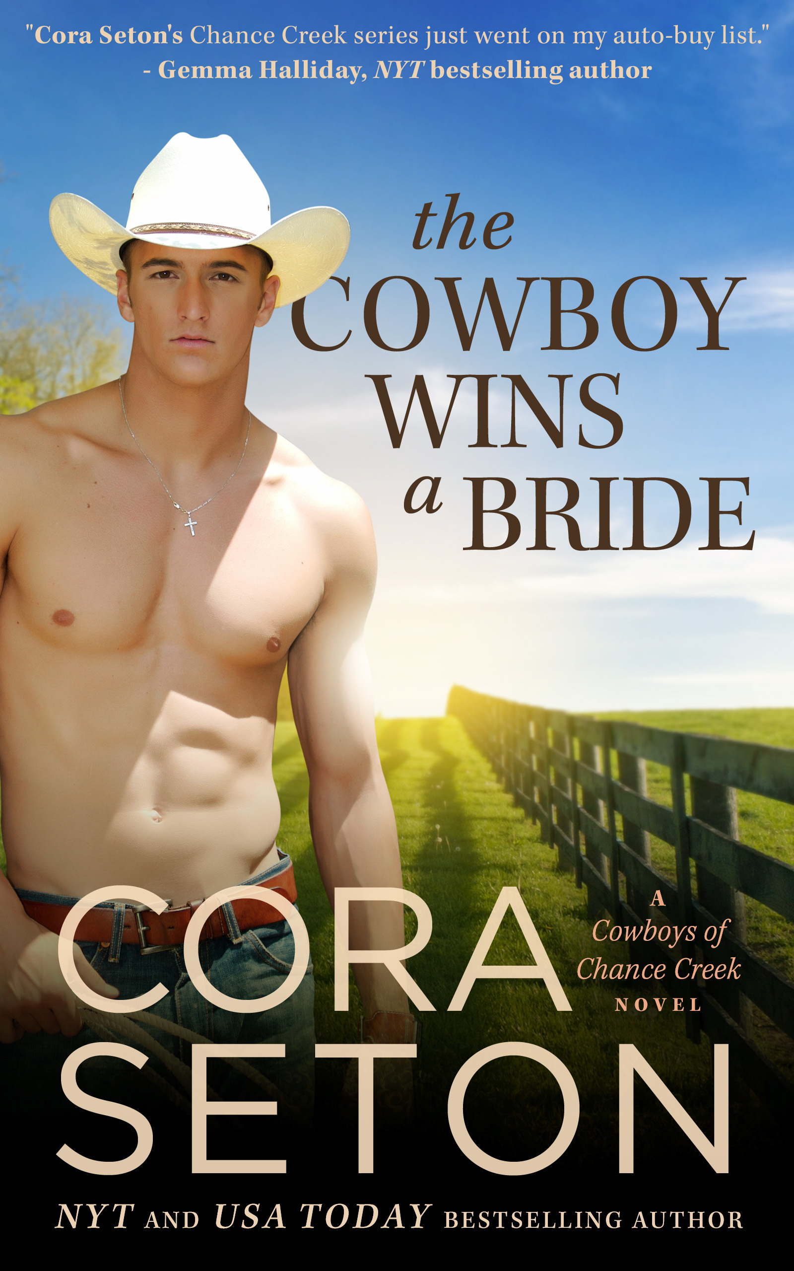 The Cowboys of Chance Creek book cover 2