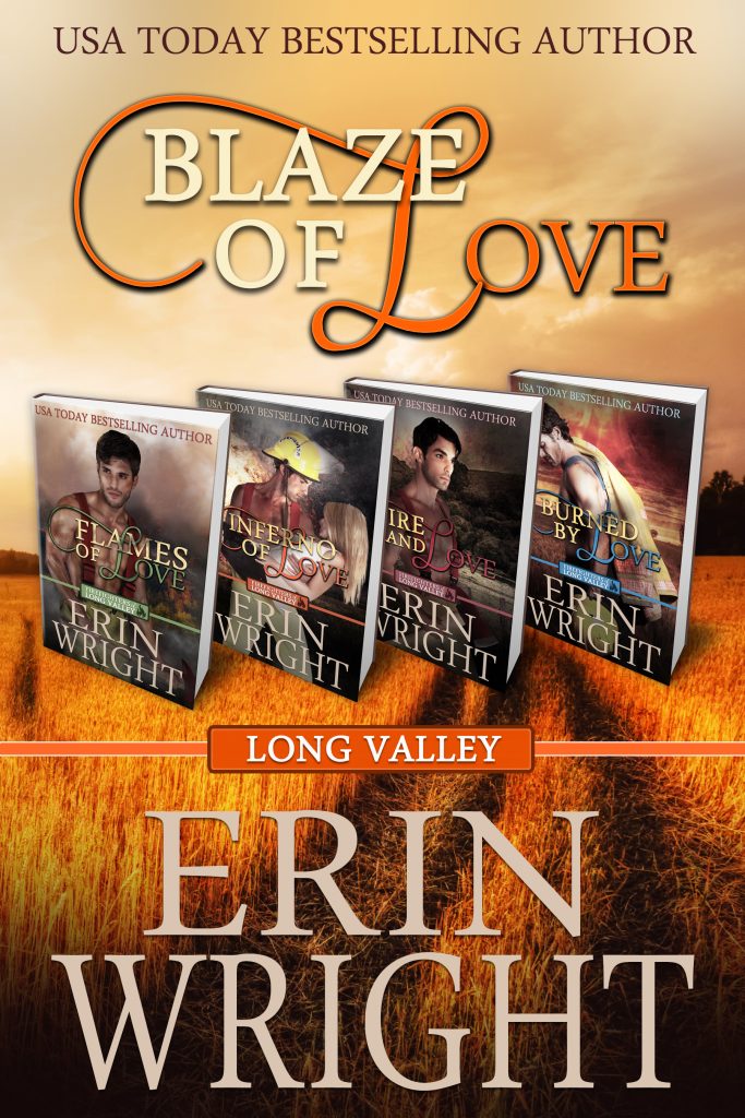 Blaze of Love book cover