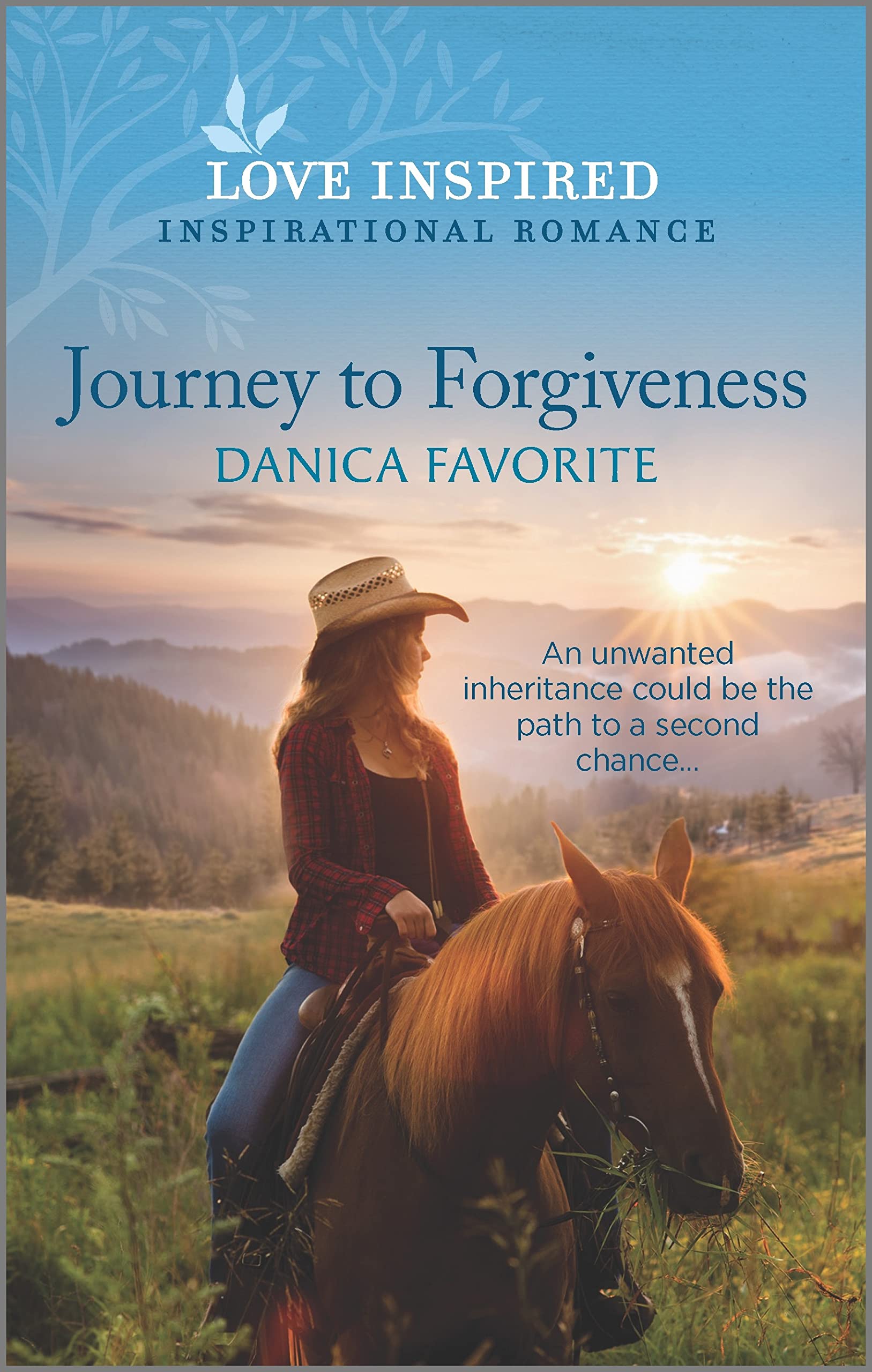 Journey to Forgiveness book cover
