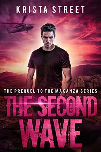 The Second Wave book cover