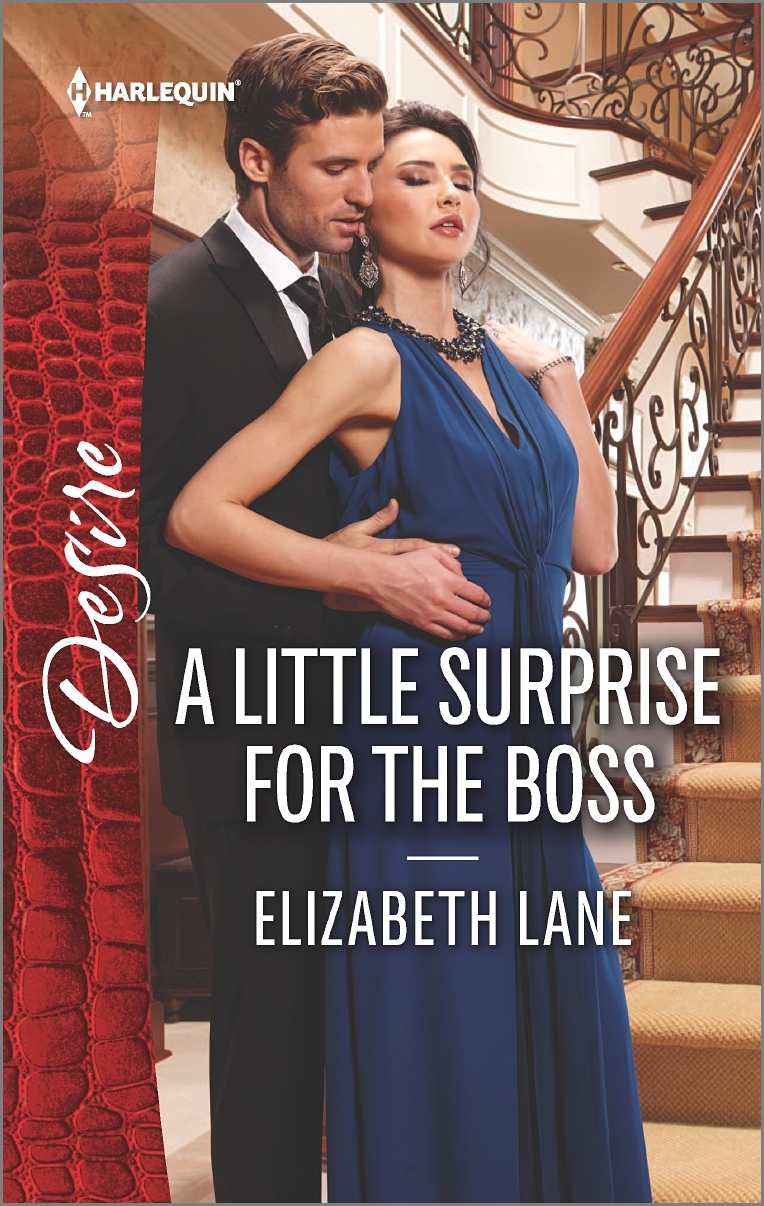 A Little Surprise for the Boss book cover