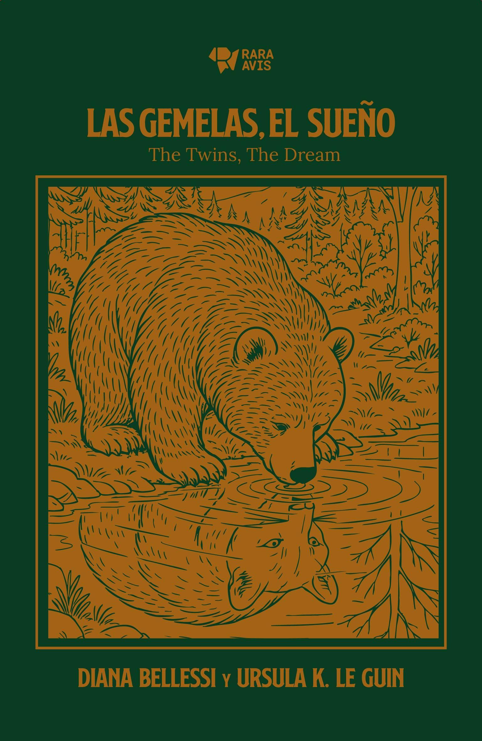 The Twins, the Dream / Las Gemelas, El Sueño book cover