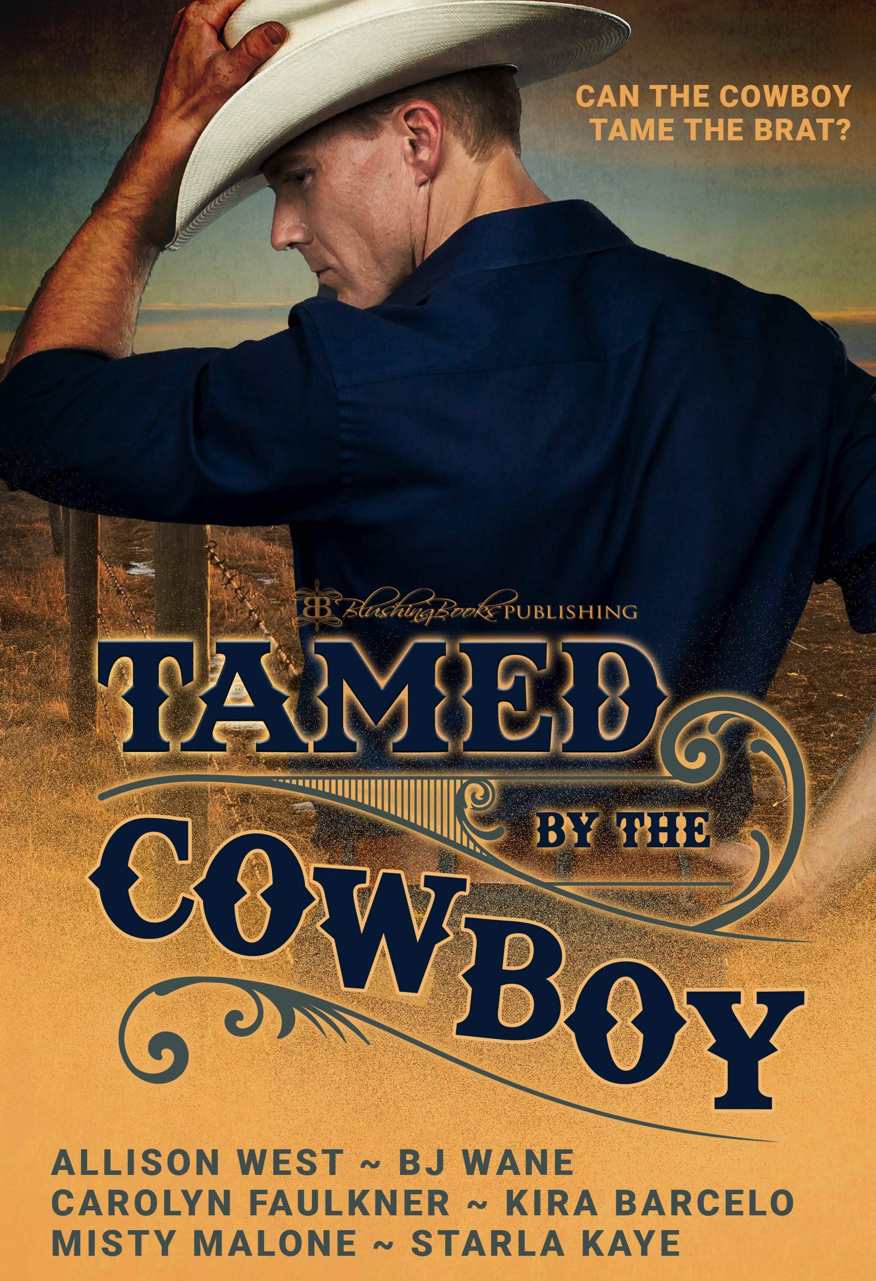 Tamed by the Cowboy book cover
