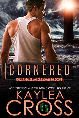 Crimson Point Protectors book cover 2