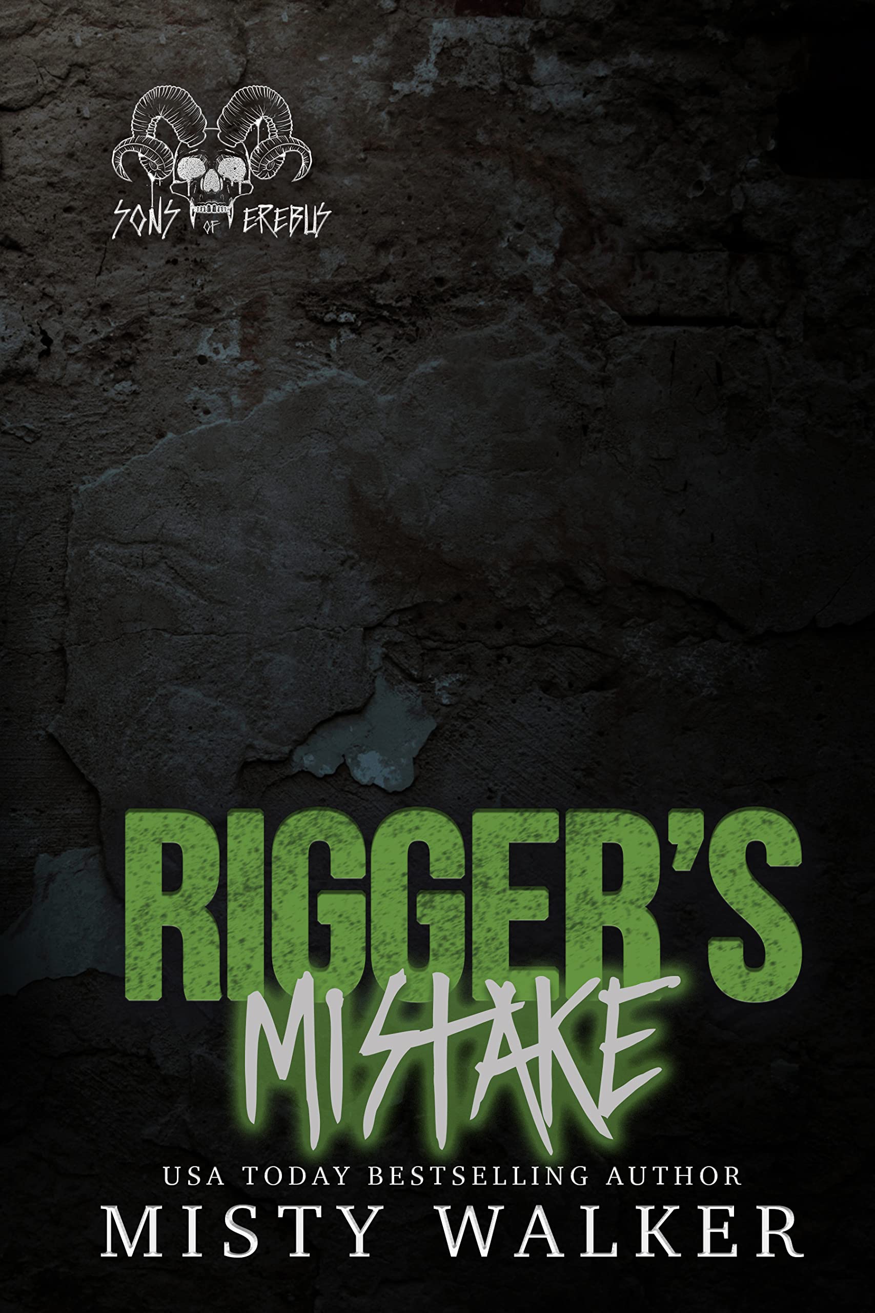 Rigger's Mistake book cover