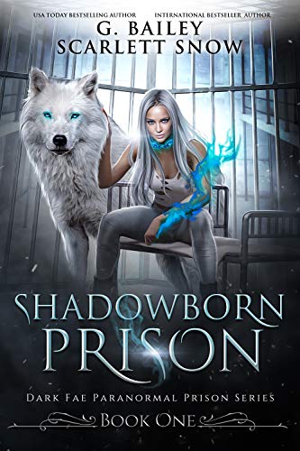 Dark Fae Paranormal Prison book cover 1