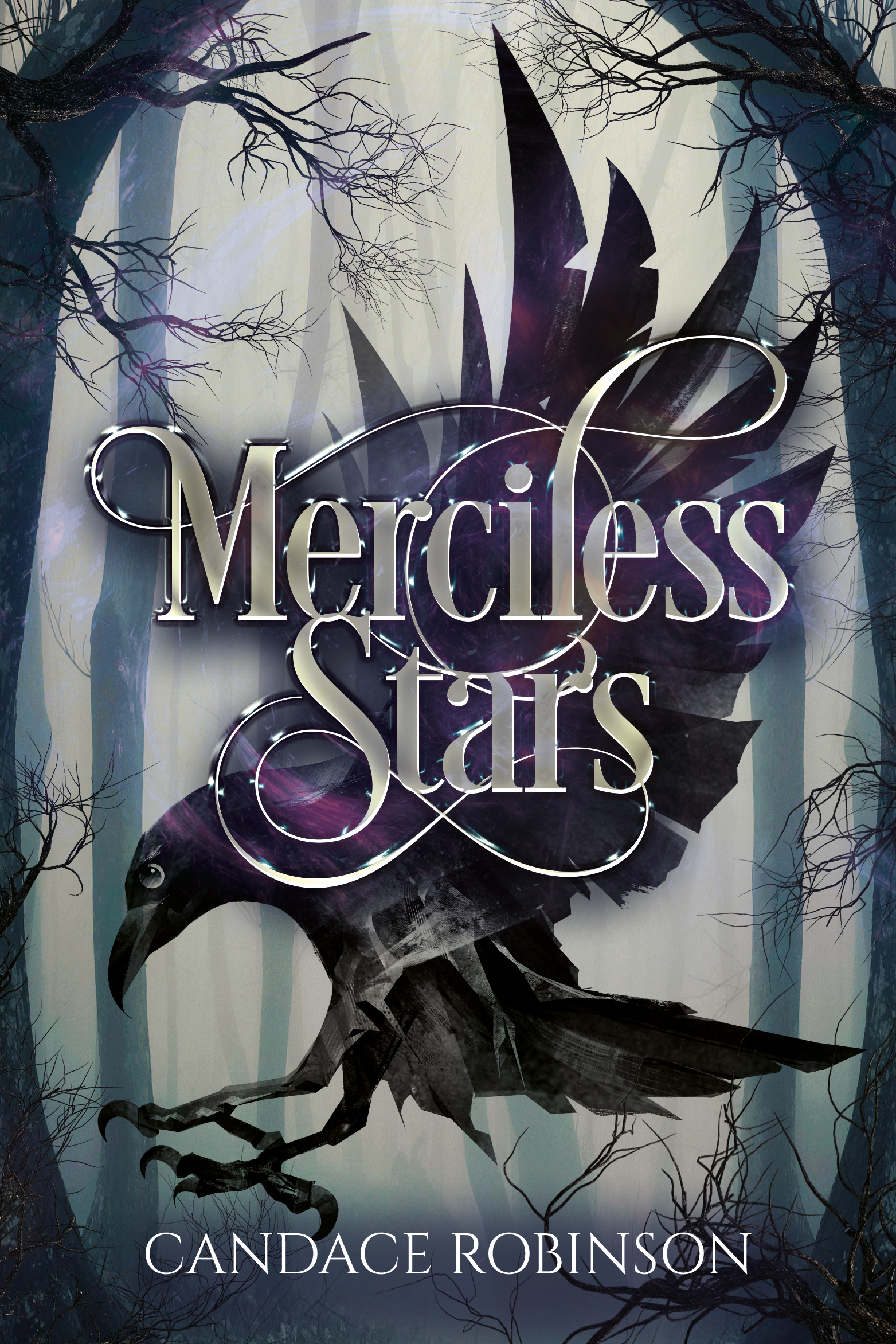 Marked by Magic book cover 2