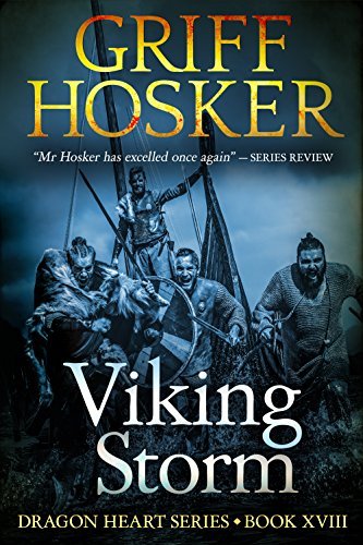 Viking Storm book cover