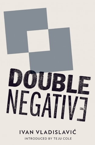 Double Negative book cover