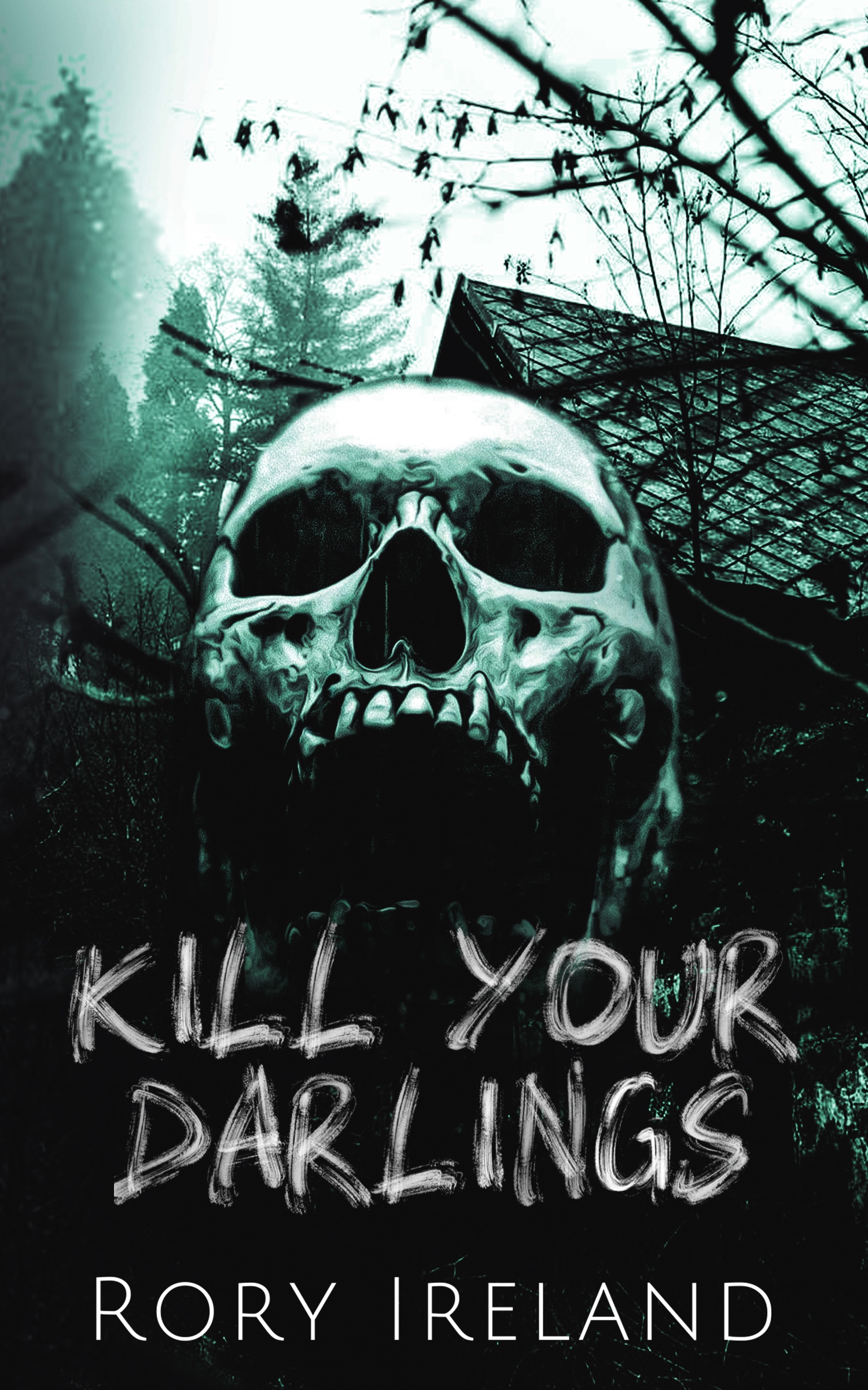 Kill Your Darlings book cover