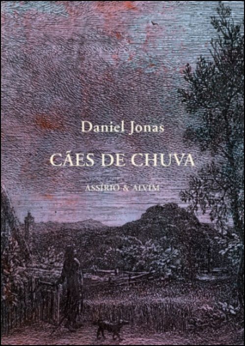 Cães de Chuva book cover