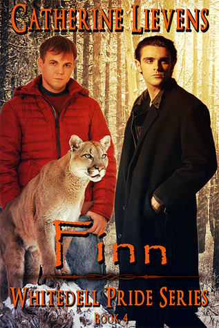 Finn book cover