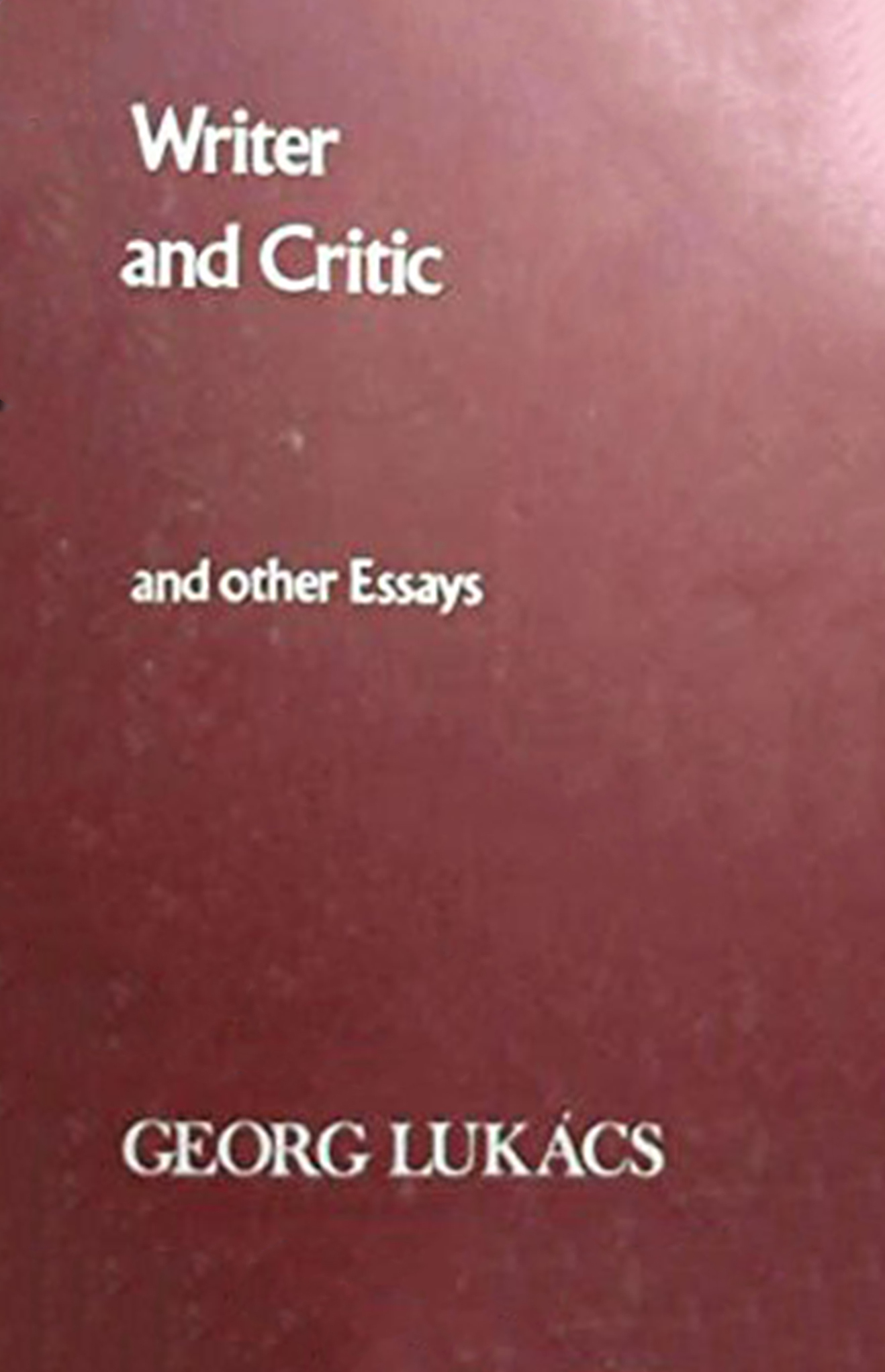 Writer and Critic book cover