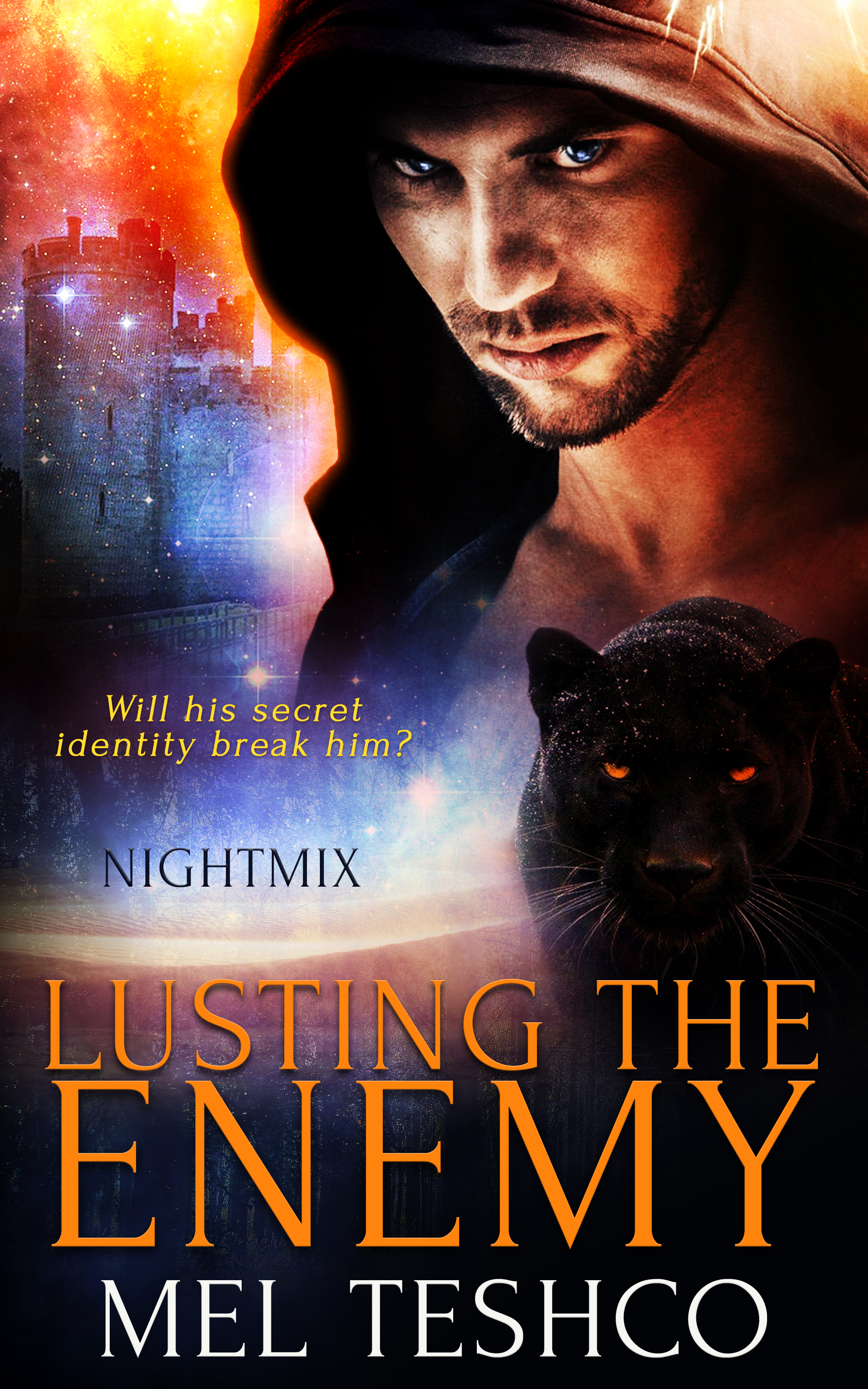 Nightmix book cover 1