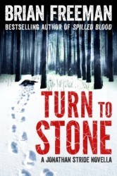 Turn to Stone book cover