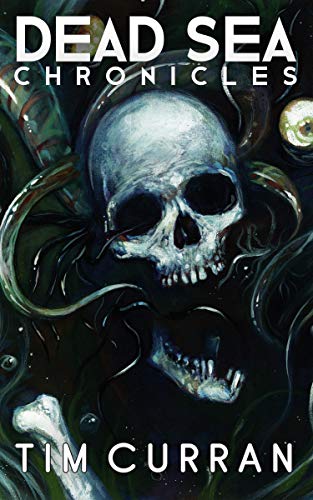Dead Sea Chronicles book cover