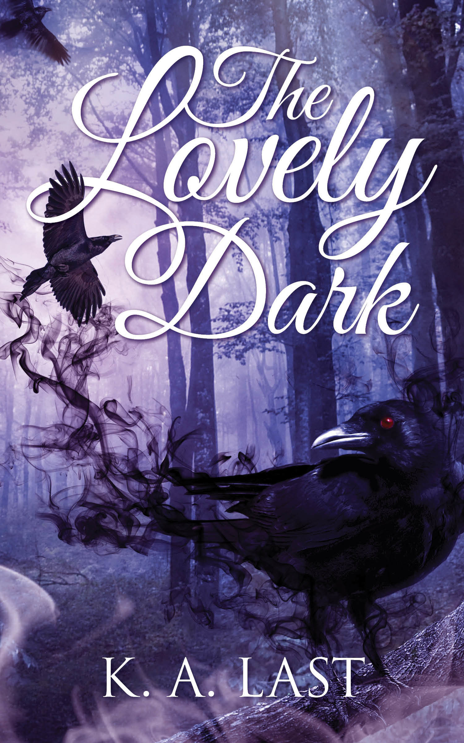 The Lovely Dark book cover