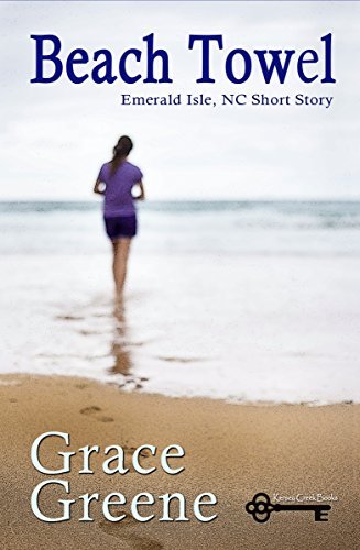 Beach Towel book cover