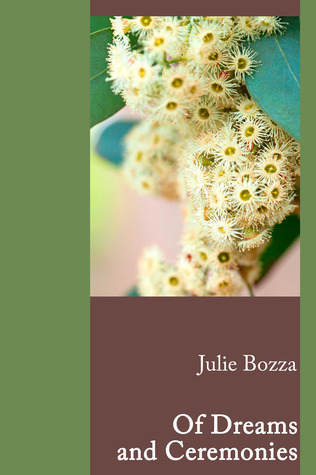 Butterfly Hunter book cover 2