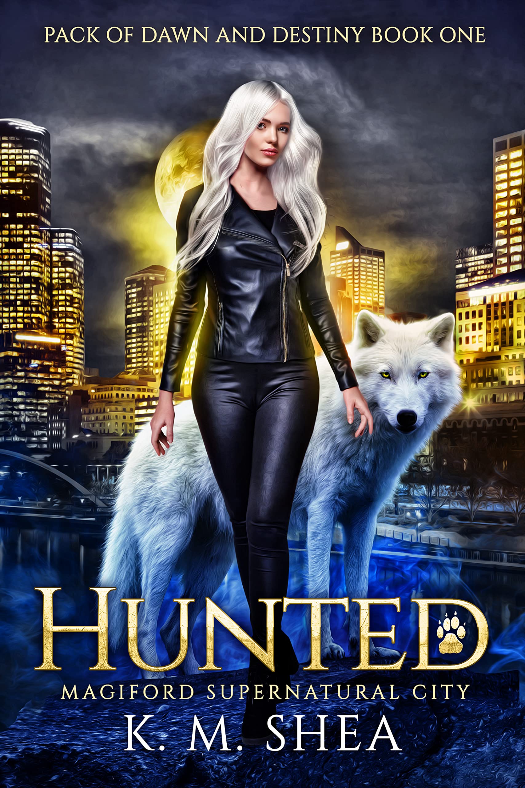 Pack of Dawn and Destiny book cover 1