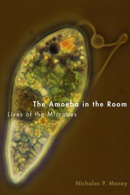 The Amoeba in the Room book cover