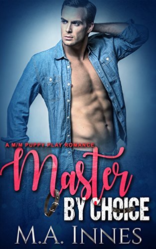 The Accidental Master book cover 2