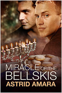 Holidays with the Bellskis book cover 2