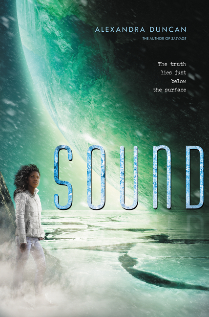 Salvage book cover 2