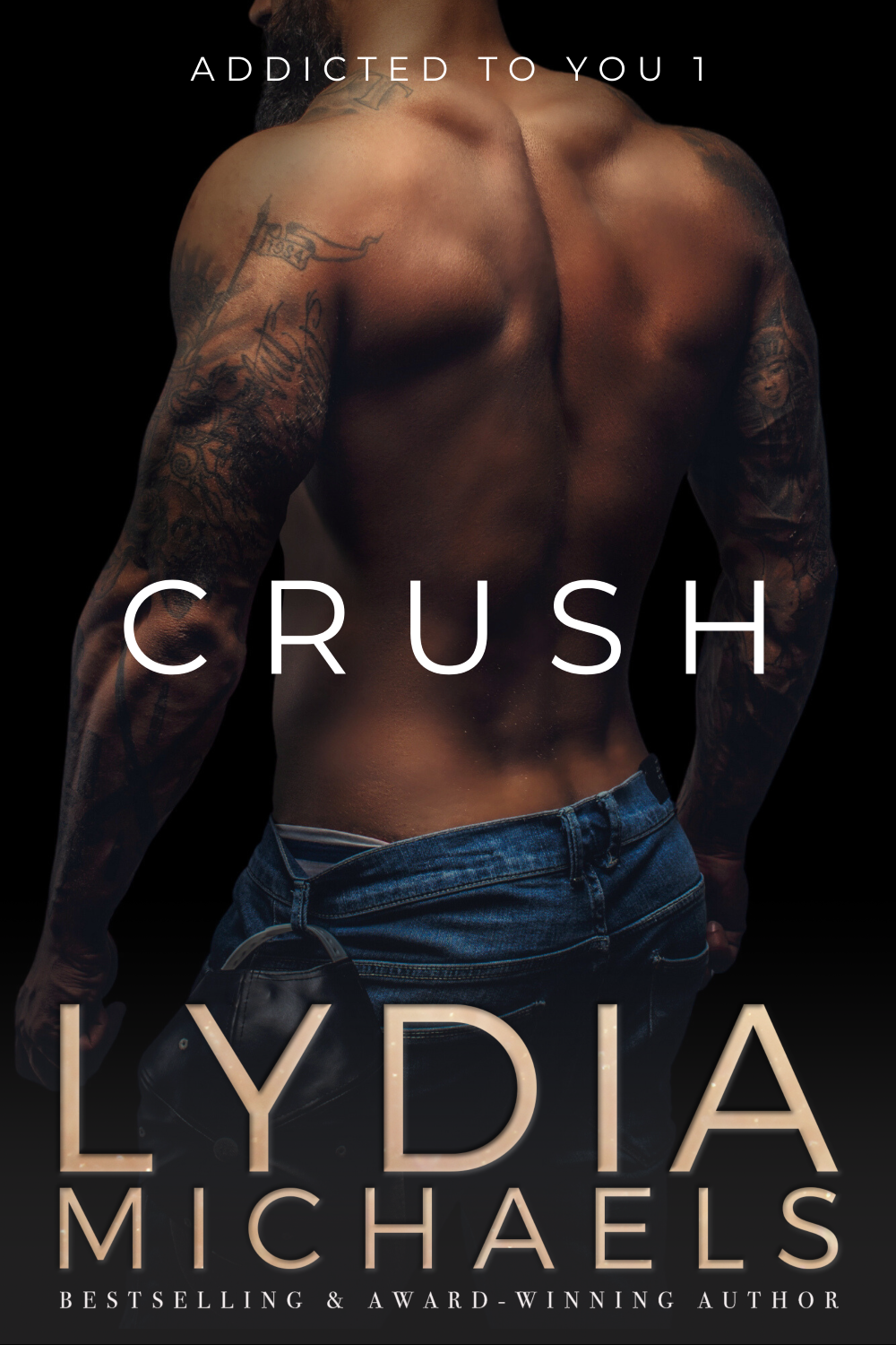 Addicted to You book cover 1