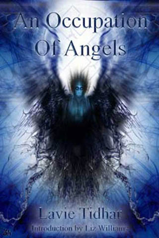 An Occupation of Angels book cover