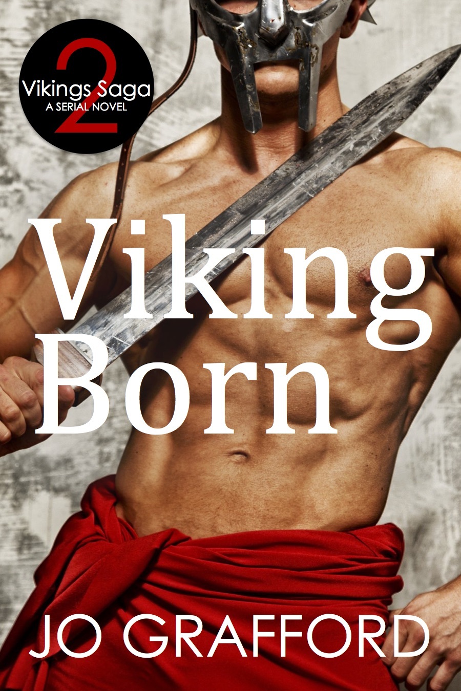 Vikings Saga book cover 2