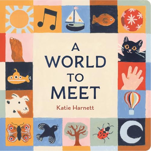 A World to Meet book cover