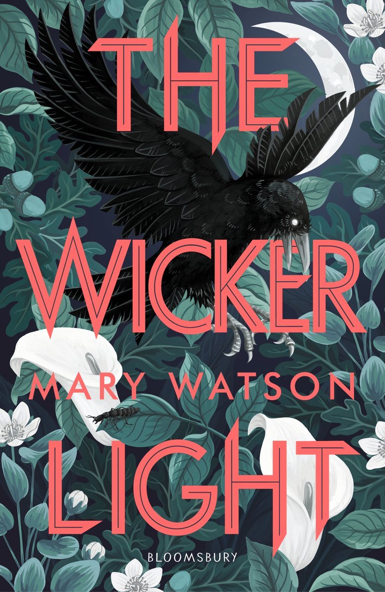 The Wren Hunt book cover 2