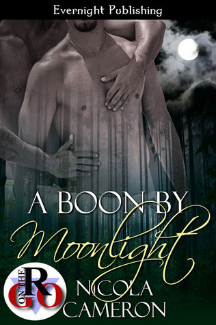 A Boon by Moonlight book cover