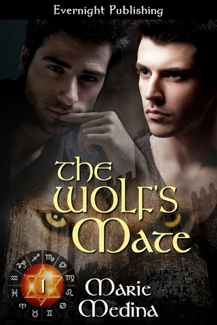 The Year of Stars book cover 1