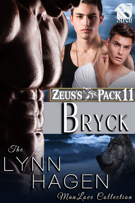 Bryck book cover
