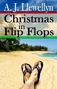Christmas in Flip Flops book cover
