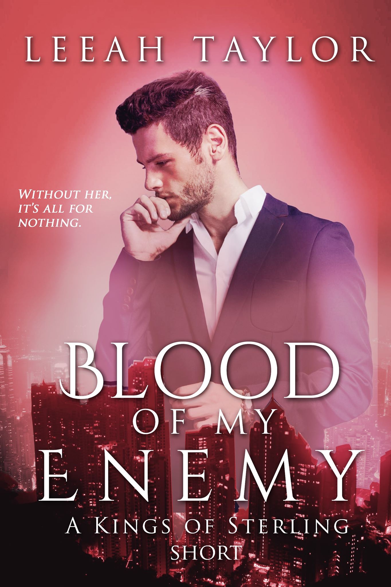 Kings of Sterling book cover 2
