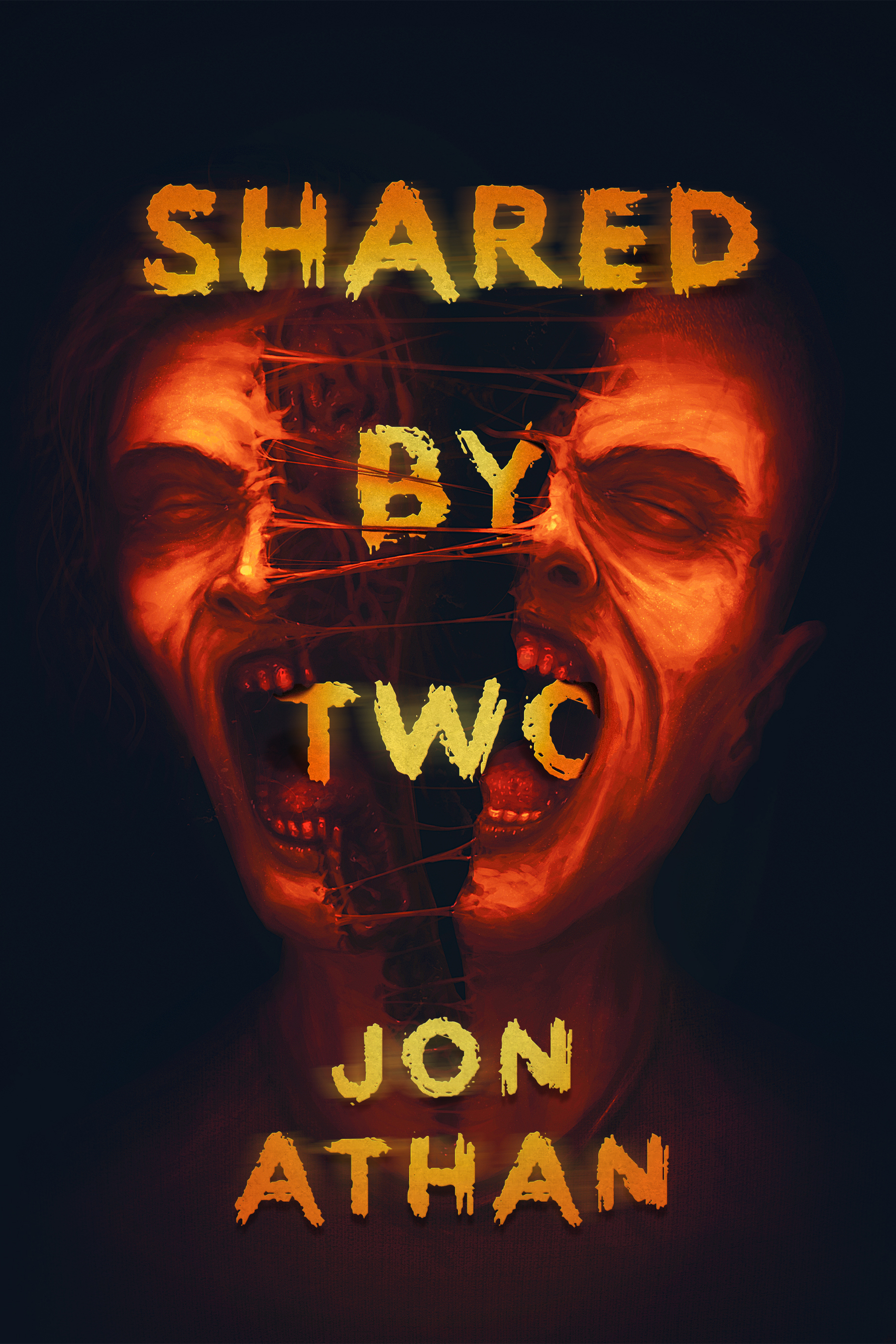 Shared by Two book cover
